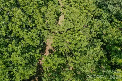 00 Ode Kerley Lane, Taylorsville, NC 28681 - Photo 13