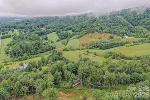 17 Berry Hill Rd, Asheville, NC 28806 - Photo 31