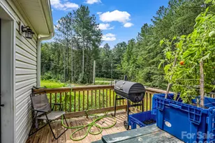 47 Heartleaf Ln, Columbus, NC 28722 - Photo 23