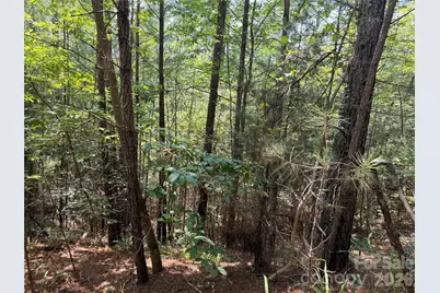 000 Thompson Lake Road, Rutherfordton, NC 28139 - Photo 3