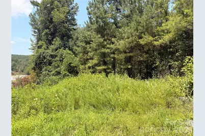 000 Thompson Lake Road, Rutherfordton, NC 28139 - Photo 13