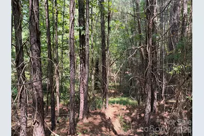 000 Thompson Lake Road, Rutherfordton, NC 28139 - Photo 7