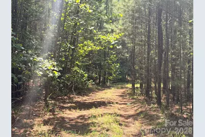 000 Thompson Lake Road, Rutherfordton, NC 28139 - Photo 1