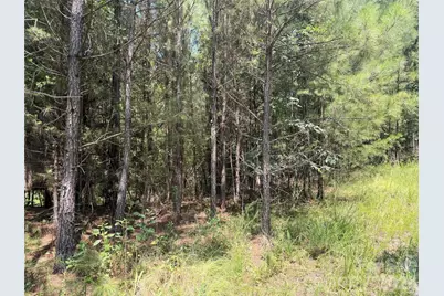000 Thompson Lake Road, Rutherfordton, NC 28139 - Photo 9