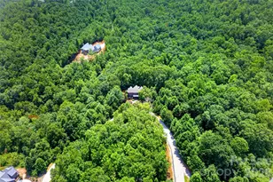1767 Catawba Falls Pkwy, Black Mountain, NC 28711 - Photo 43