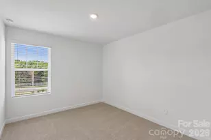 9024 Foggy Brook Loop, Charlotte, NC 28216 - Photo 21