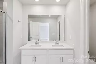 9008 Foggy Brook Loop, Charlotte, NC 28216 - Photo 21