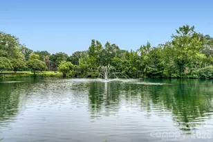 7333 Carrbridge Ln, Charlotte, NC 28226 - Photo 29