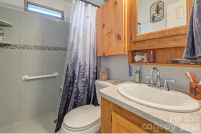 20 Strollers Lane, Waynesville, NC 28785 - Photo 13