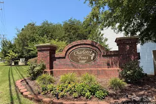 13927 Singleleaf Lane, Charlotte, NC 28278 - Photo 17