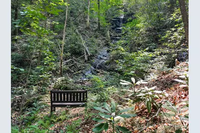 82 Trout Haven Lane, Balsam Grove, NC 28708 - Photo 45