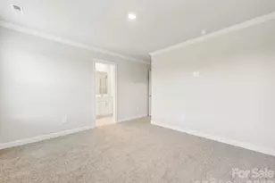 9016 Foggy Brook Loop, Charlotte, NC 28216 - Photo 13
