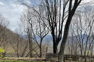 80 Strickland Dr, Waynesville, NC 28785 - Photo 45