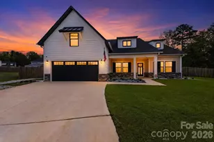 41 Elk Run Ct, Chapin, SC 29036 - Photo 1