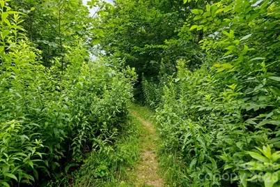 Lot 96 Cloud Spring Drive #96, Sugar Mountain, NC 28604 - Photo 5