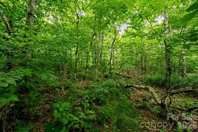 Lot 96 Cloud Spring Drive #96, Sugar Mountain, NC 28604 - Photo 7