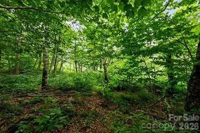 Lot 96 Cloud Spring Drive #96, Sugar Mountain, NC 28604 - Photo 11