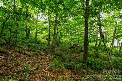 Lot 96 Cloud Spring Drive #96, Sugar Mountain, NC 28604 - Photo 13
