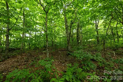 Lot 96 Cloud Spring Drive #96, Sugar Mountain, NC 28604 - Photo 9