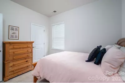 368 Picasso Trail, Mount Holly, NC 28120 - Photo 11