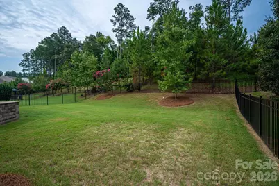 368 Picasso Trail, Mount Holly, NC 28120 - Photo 37