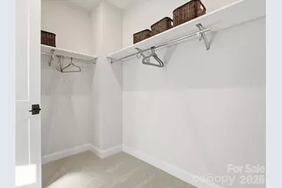 6028 Yellow Buckeye Drive, Charlotte, NC 28277 - Photo 29