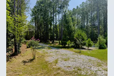 955 Cole Trestle Road, Blair, SC 29015 - Photo 3