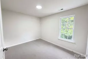 3621 Straussburg Woods Ln, Matthews, NC 28105 - Photo 15