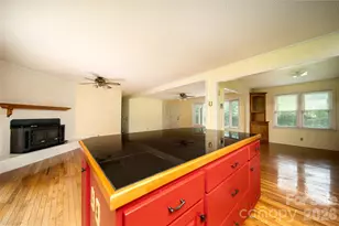 821 Tanasee Gap Rd, Balsam Grove, NC 28708 - Photo 5