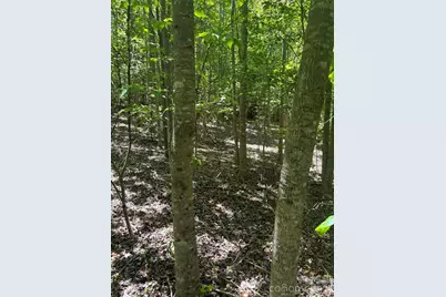 0 E Pine Hill Avenue, Morganton, NC 28655 - Photo 19