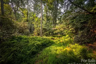 328 Wooded Vly Ln, Burnsville, NC 28714 - Photo 47