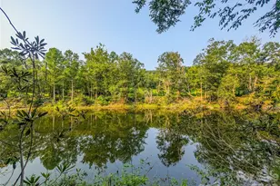 328 Wooded Vly Ln, Burnsville, NC 28714 - Photo 45