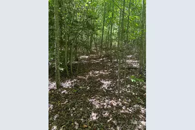0 E Pine Hill Avenue, Morganton, NC 28655 - Photo 17