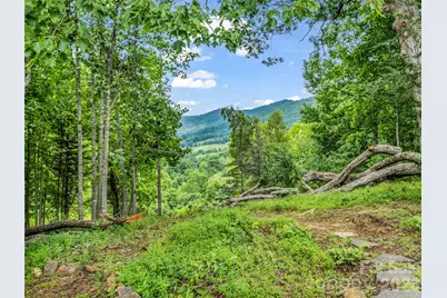 450 Windom Cove, Burnsville, NC 28714 - Photo 45
