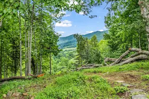 450 Windom Cv, Burnsville, NC 28714 - Photo 45