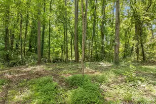 468 Governors View Rd, Asheville, NC 28805 - Photo 5