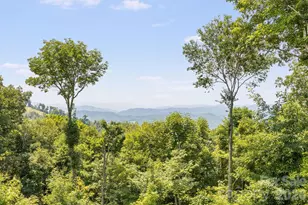 129 Finney Ln, Mars Hill, NC 28754 - Photo 3