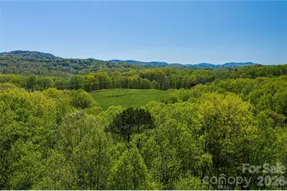 9999 Bee Balm Way #55, Asheville, NC 28804 - Photo 3