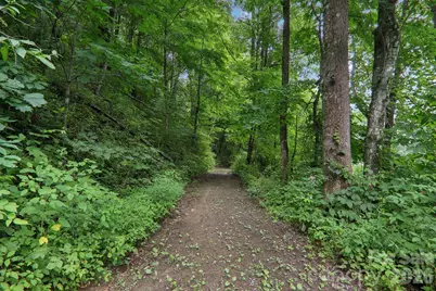 4501 Cove Creek Road, Waynesville, NC 28785 - Photo 35