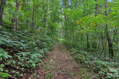 4501 Cove Creek Road, Waynesville, NC 28785 - Photo 37