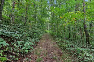 4501 Cove Creek Rd, Waynesville, NC 28785 - Photo 37