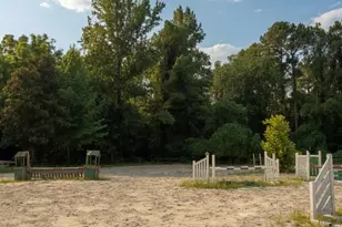 350 Vick Russell Ln, Columbus, NC 28722 - Photo 31