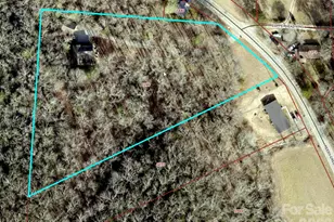 101 Reeds Creek Rd, Fairview, NC 28730 - Photo 35