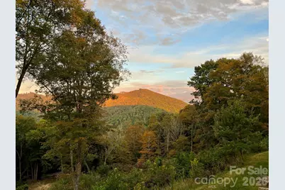 1185 Black Bear Drive, Mars Hill, NC 28754 - Photo 45