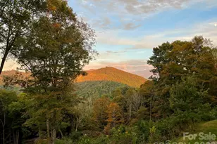 1185 Black Bear Dr, Mars Hill, NC 28754 - Photo 45