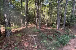 0 Ore Bank Rd, Smyrna, SC 29743 - Photo 1