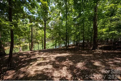 3920 Concord Drive, York, SC 29745 - Photo 17