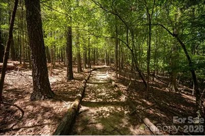 3920 Concord Drive, York, SC 29745 - Photo 15