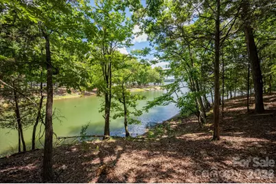 3920 Concord Drive, York, SC 29745 - Photo 19