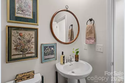 262 Abersham Drive, Mooresville, NC 28115 - Photo 13
